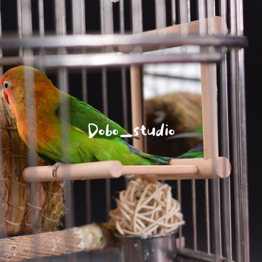 鳥我一下好嗎🍀鸚鵡鏡子站架 贈鈴鐺球 磨爪棒 鳥站桿 鏡面 鏡子 中小型鸚鵡 站台 寵物站棍 鸚鵡 鸚鵡遊戲架  爬架-細節圖8