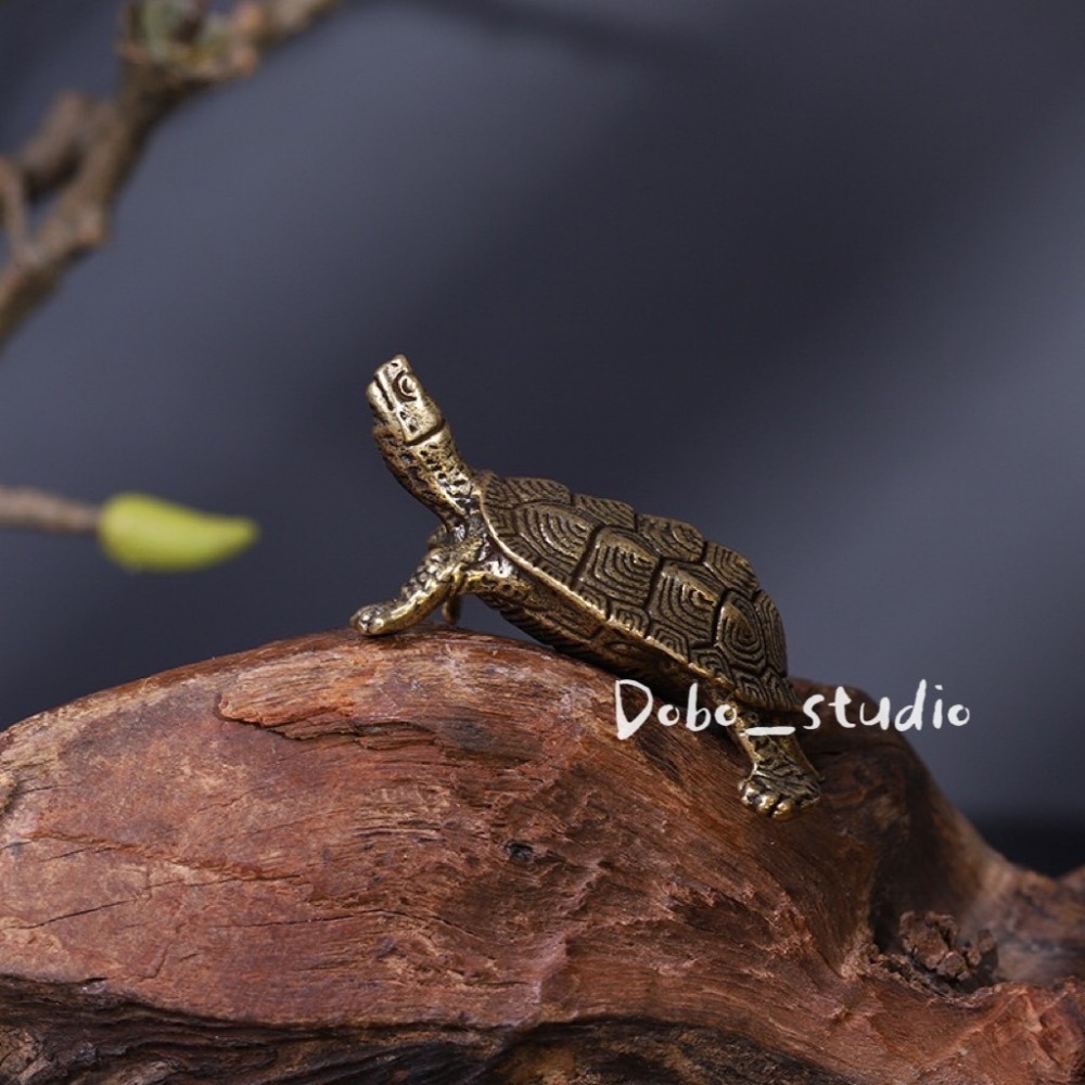 鳥我一下好嗎🍀黃銅招財錢龜 烏龜擺件 招財小烏龜 辦公室擺件 結緣品 小贈品 禮物 風水擺件 金龜 長壽龜 銅烏龜-細節圖6