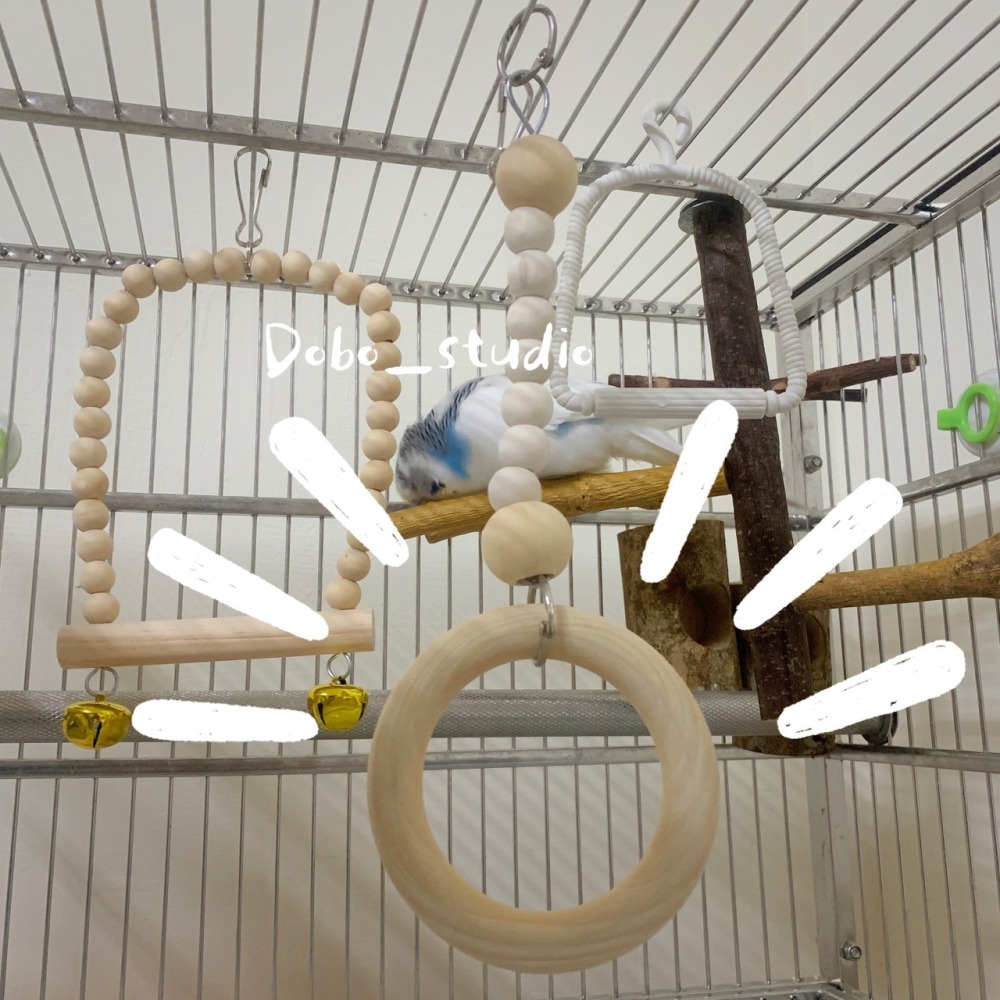 鳥我一下好嗎🍀實木圓環鞦韆 中小型鳥盪鞦韆 鳥盪鞦韆 吊環鞦韆 鳥籠啃咬玩具 鳥攀爬玩具 鸚鵡用品 磨指棍 牡丹 文鳥-細節圖6