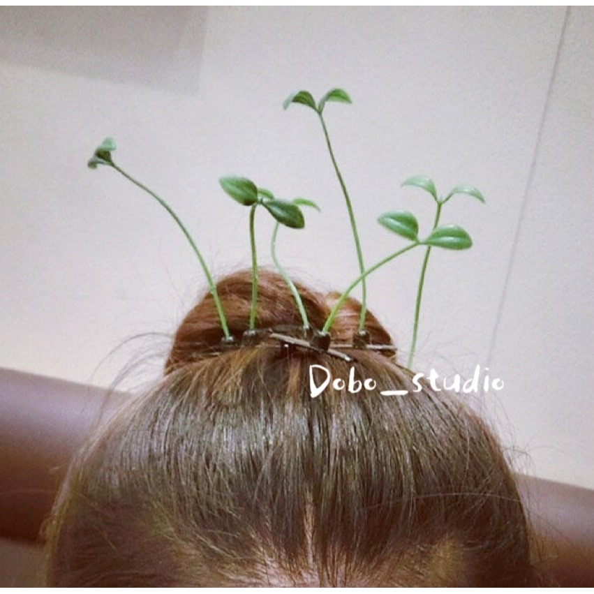 鳥我一下好嗎🍀萌趣小草髮夾 賣萌神器 仿真槙物 可愛髮飾 碎髮夾 學生 小草 夾子 發芽小草 髮飾 裝飾 搞怪 惡搞-細節圖3