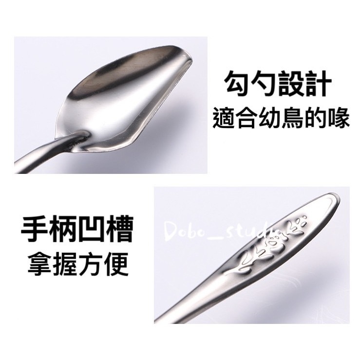 鳥我一下好嗎🍀幼鳥餵奶勺 幼鳥餵食 鳥用餵食器 鳥用餵奶勺 鸚鵡手養 小勺子 小湯匙 小米勺子 雛鳥餵奶 湯匙 鳥用品-細節圖4