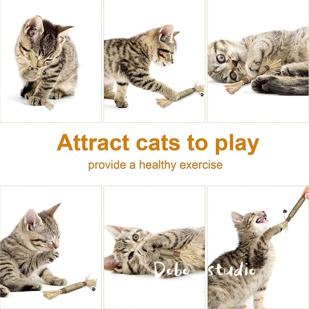 鳥我一下好嗎🍀木天蓼磨牙棒 蟲癭果 貓咪舒緩 拉菲草 咬咬棒 逗貓玩具 貓磨牙 貓咪 貓咪紓壓 貓薄荷 貓草 貓咪化毛-細節圖2