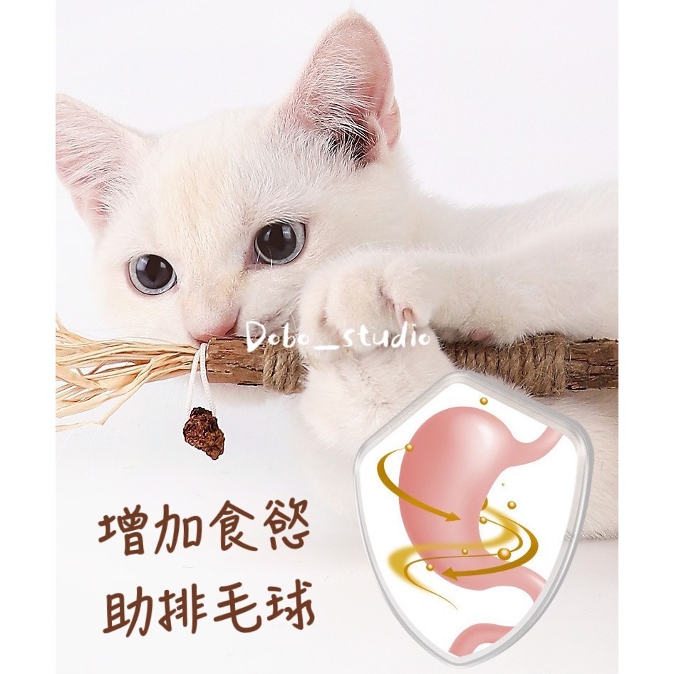 鳥我一下好嗎🍀木天蓼磨牙棒 蟲癭果 貓咪舒緩 拉菲草 咬咬棒 逗貓玩具 貓磨牙 貓咪 貓咪紓壓 貓薄荷 貓草 貓咪化毛-細節圖5
