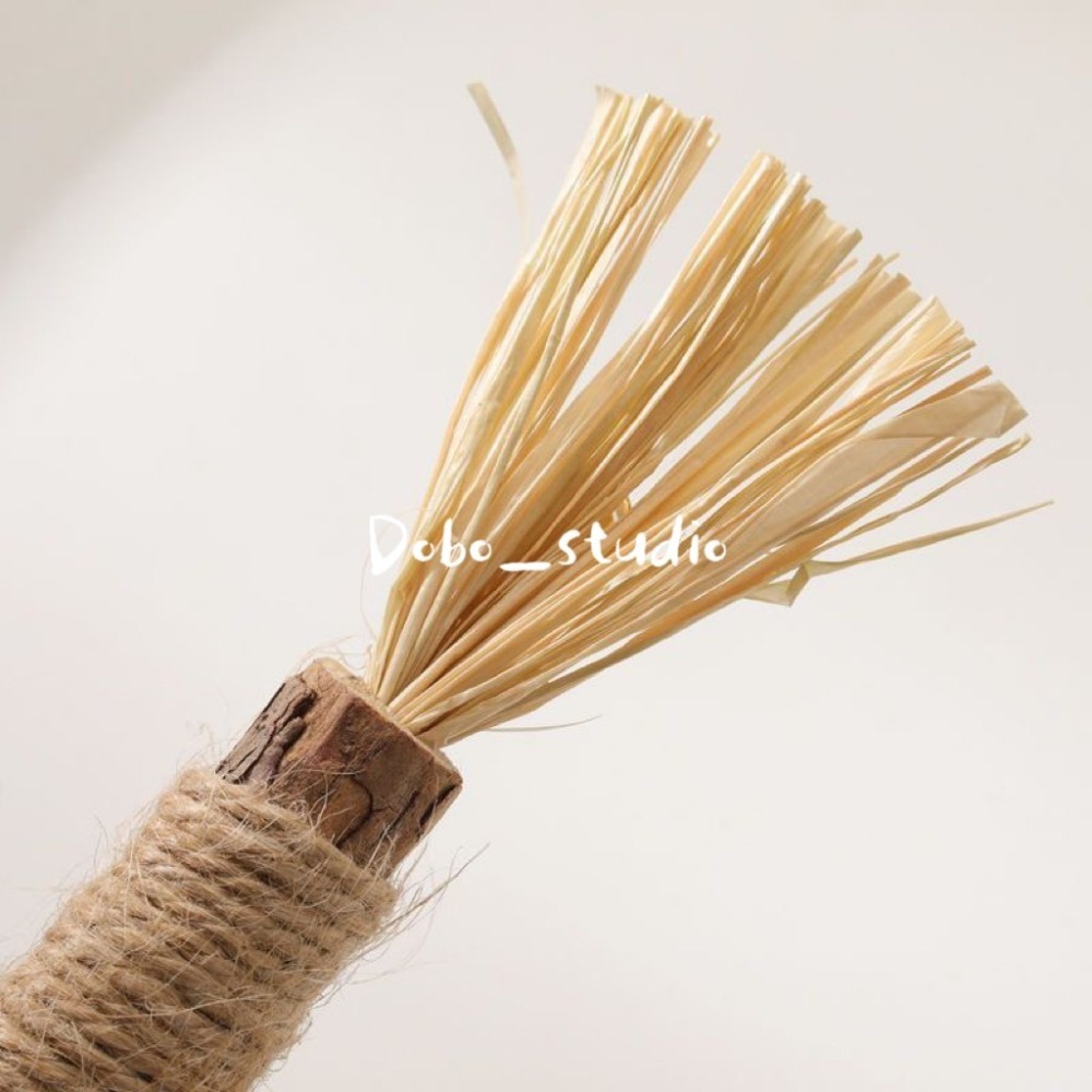 鳥我一下好嗎🍀木天蓼磨牙棒 蟲癭果 貓咪舒緩 拉菲草 咬咬棒 逗貓玩具 貓磨牙 貓咪 貓咪紓壓 貓薄荷 貓草 貓咪化毛-細節圖7