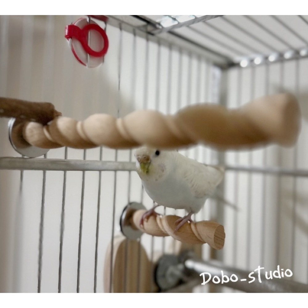 鳥我一下好嗎🍀鸚鵡麻花站棍 實木站桿 磨指甲 鳥站棒 鳥用玩具 鳥磨趾棍 麻花捲站棍 白文 虎皮八哥 小太陽 凱克鸚鵡-細節圖2