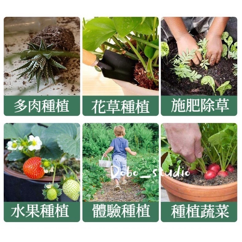 鳥我一下好嗎🍀園藝三件組 迷你園藝工具組 園藝鏟 小鏟子 鐵耙 鬆土工具 園藝工具 園藝種花 多肉 農業工具 種植工具-細節圖2