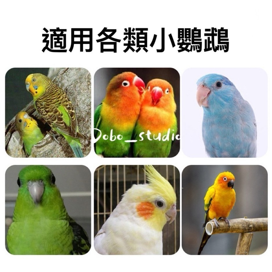 鳥我一下好嗎🍀鸚鵡單色磨砂棒 中小型鸚鵡 耐磨 鸚鵡磨爪棒 棍站棒 磨爪磨指甲 磨爪棒 鸚鵡磨牙 小鳥休息桿 鳥籠配件-細節圖4