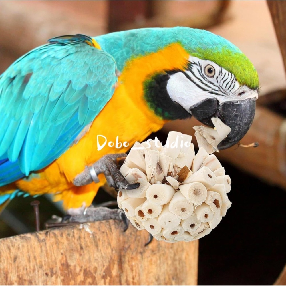 鳥我一下好嗎🍀寵物啃咬索拉球 索拉花 植物根莖製作 鳥啃咬玩具 楓葉鼠 倉鼠磨牙 蜜袋鼯 小鸚 太平洋 玄鳳 凱克和尚-細節圖2