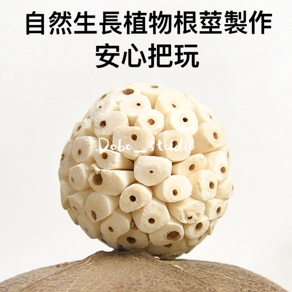 鳥我一下好嗎🍀寵物啃咬索拉球 索拉花 植物根莖製作 鳥啃咬玩具 楓葉鼠 倉鼠磨牙 蜜袋鼯 小鸚 太平洋 玄鳳 凱克和尚-細節圖3