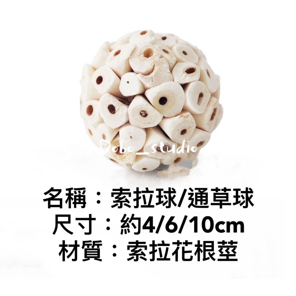 鳥我一下好嗎🍀寵物啃咬索拉球 索拉花 植物根莖製作 鳥啃咬玩具 楓葉鼠 倉鼠磨牙 蜜袋鼯 小鸚 太平洋 玄鳳 凱克和尚-細節圖4