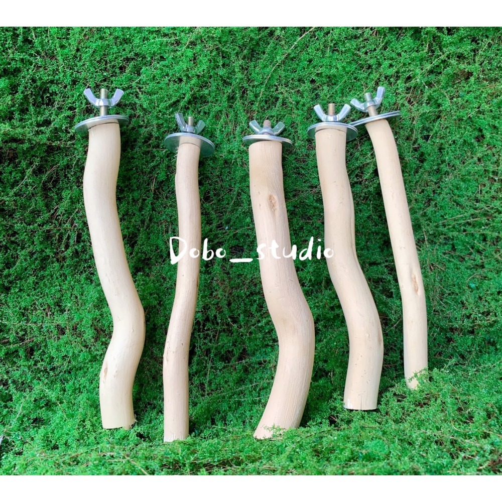 鳥我一下好嗎🍀原木站棍 鳥用站杆 外出包站棍 啃咬木 自然生長木站棍 磨爪棒 站桿 磨爪 磨指甲 玄鳳 和尚 鳥籠配件-細節圖2