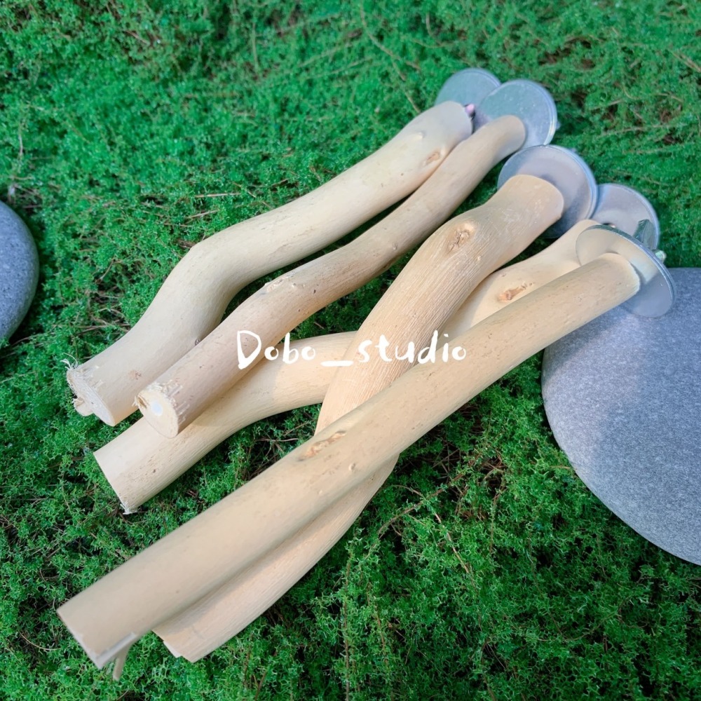 鳥我一下好嗎🍀原木站棍 鳥用站杆 外出包站棍 啃咬木 自然生長木站棍 磨爪棒 站桿 磨爪 磨指甲 玄鳳 和尚 鳥籠配件-細節圖4