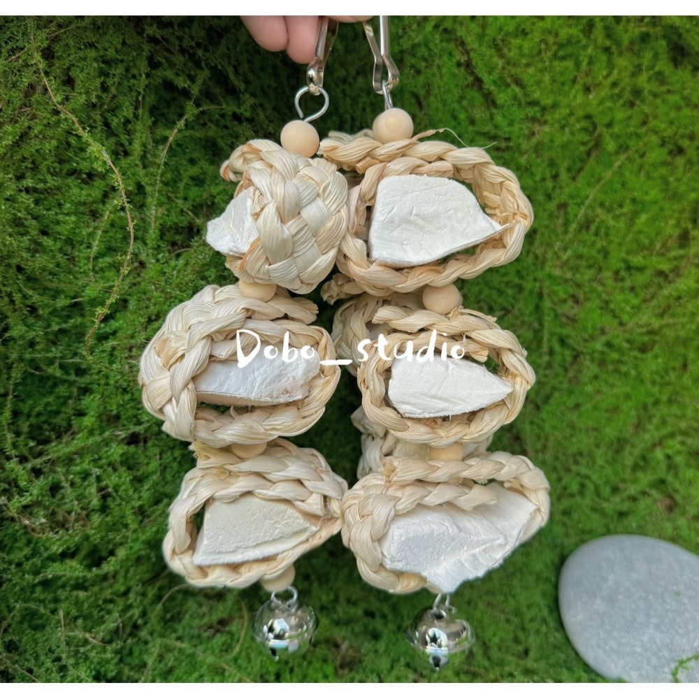 鳥我一下好嗎🍀墨魚骨草編咬串 墨魚骨鳥玩具 中小型鸚鵡 啃咬串 鸚鵡用 墨魚骨 補鈣串 虎皮橫斑 月輪 八哥 鳥籠配件-細節圖2