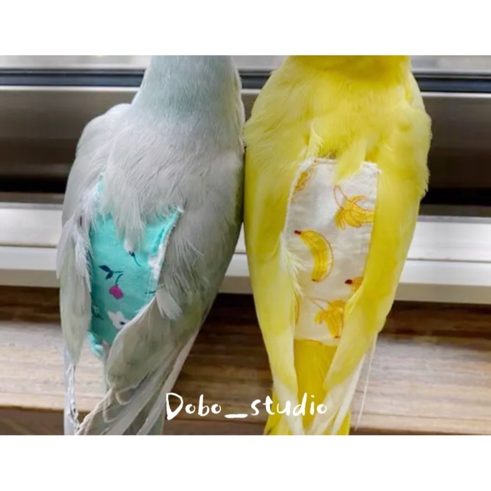 鳥我一下好嗎🍀鸚鵡外出屎兜 鳥用尿不濕 鸚鵡外出衣 鳥衣服 屎兜 尿布 金輪 凱克 橫斑 牡丹 太平洋 包屁衣 鳥用品-細節圖3