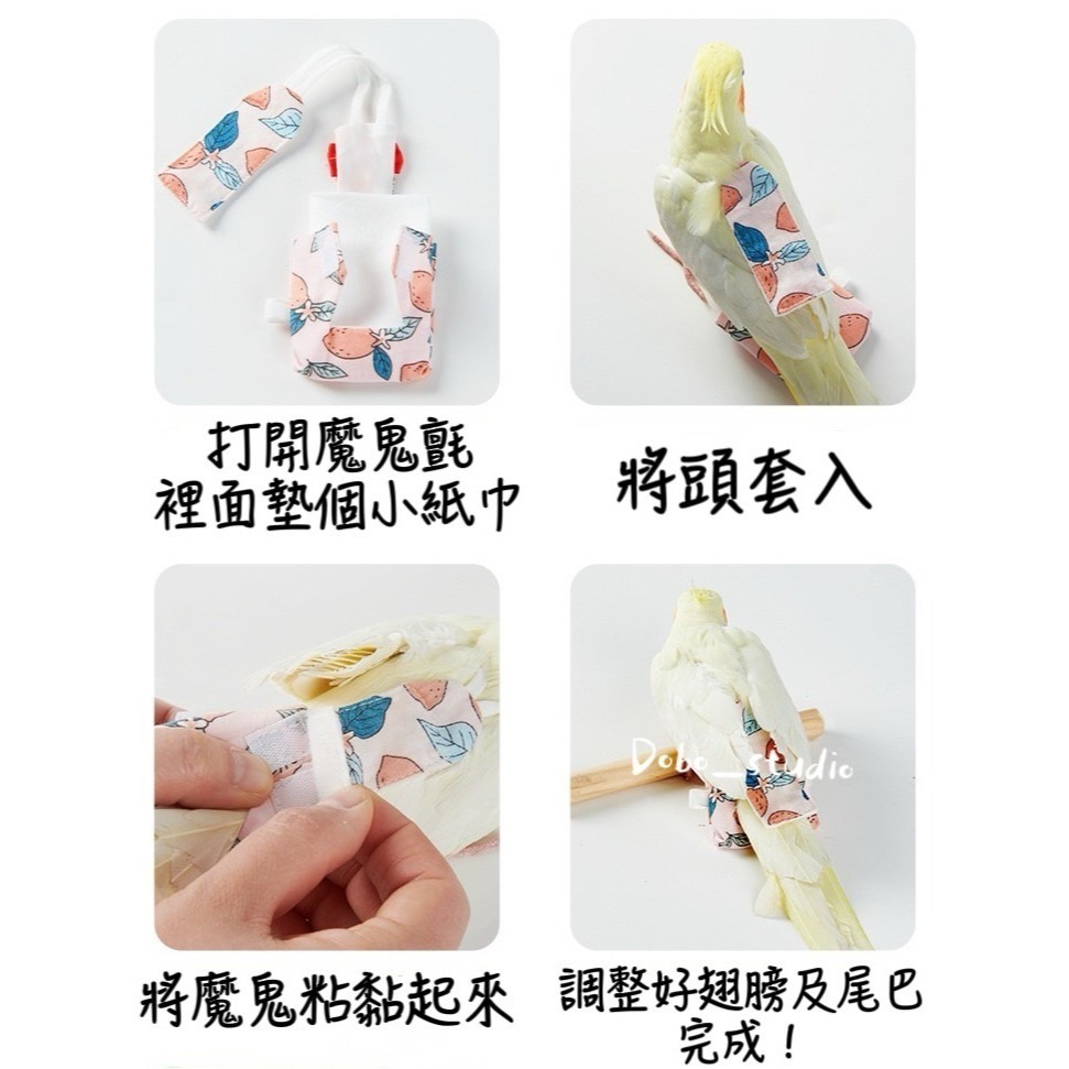 鳥我一下好嗎🍀鸚鵡外出屎兜 鳥用尿不濕 鸚鵡外出衣 鳥衣服 屎兜 尿布 金輪 凱克 橫斑 牡丹 太平洋 包屁衣 鳥用品-細節圖7