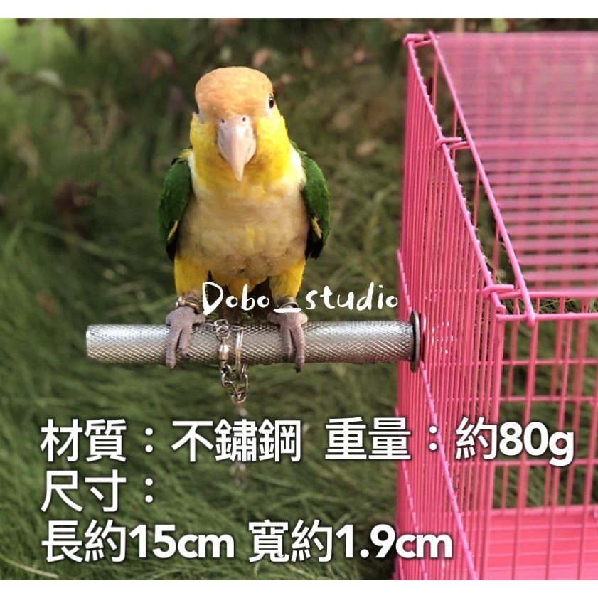 鳥我一下好嗎🍀不鏽鋼磨趾棍 鸚鵡不鏽鋼站棍 鳥磨爪棒 磨嘴站棍 玄鳳 不鏽鋼磨腳 鳥站架 白鐵鸚鵡磨趾棍 小鸚凱克鸚鵡-細節圖9