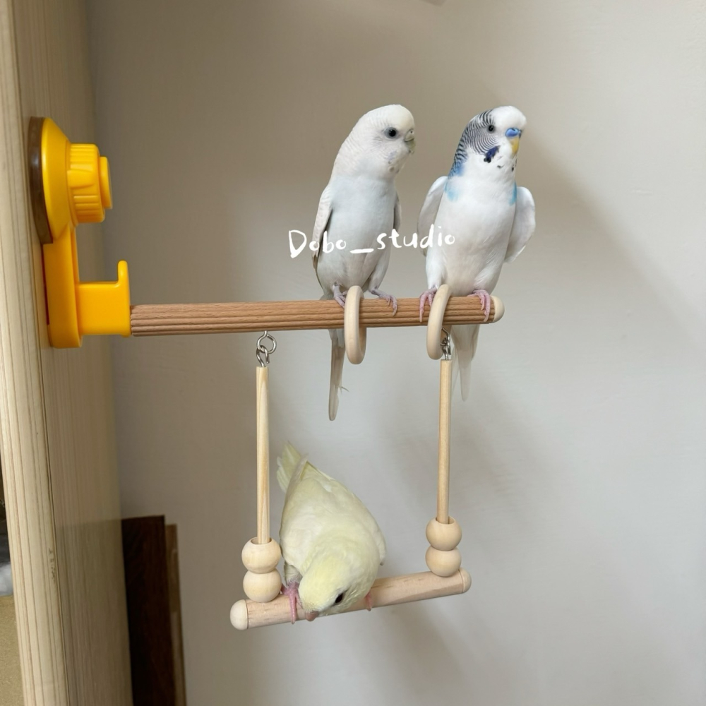 鳥我一下好嗎🍀鸚鵡吸盤空中鞦韆 原木鞦韆 站桿 吸盤站架 鳥啃咬玩具 搖晃鞦韆 鸚鵡爬架 棲木休息架 鸚鵡攀爬玩具 牡-細節圖5