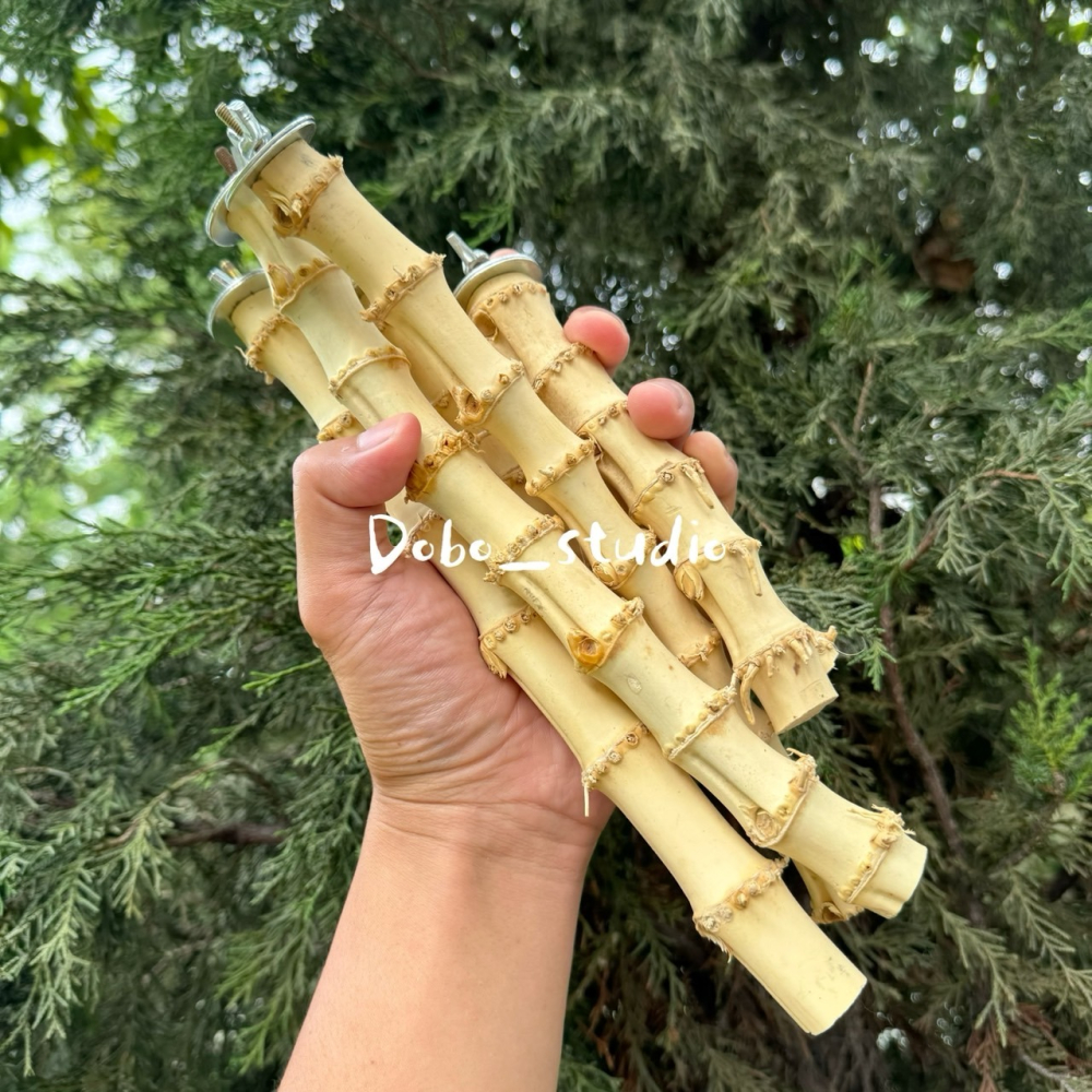 鳥我一下好嗎🍀龍骨竹根站杆 適合中小型鸚鵡 棲木站棍 鳥站棍 竹製品 天然站桿 鸚鵡 鳥磨爪棒 小鸚 金太陽 凱克鸚鵡-細節圖2