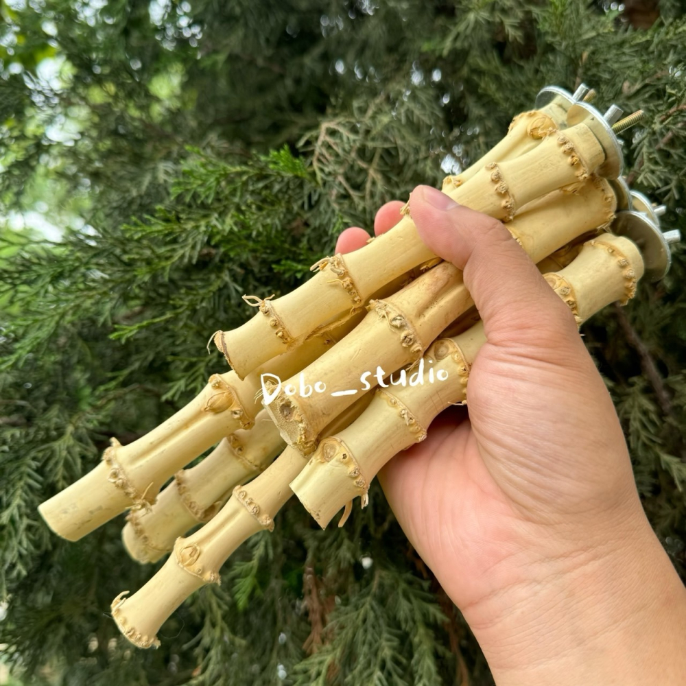 鳥我一下好嗎🍀龍骨竹根站杆 適合中小型鸚鵡 棲木站棍 鳥站棍 竹製品 天然站桿 鸚鵡 鳥磨爪棒 小鸚 金太陽 凱克鸚鵡-細節圖3