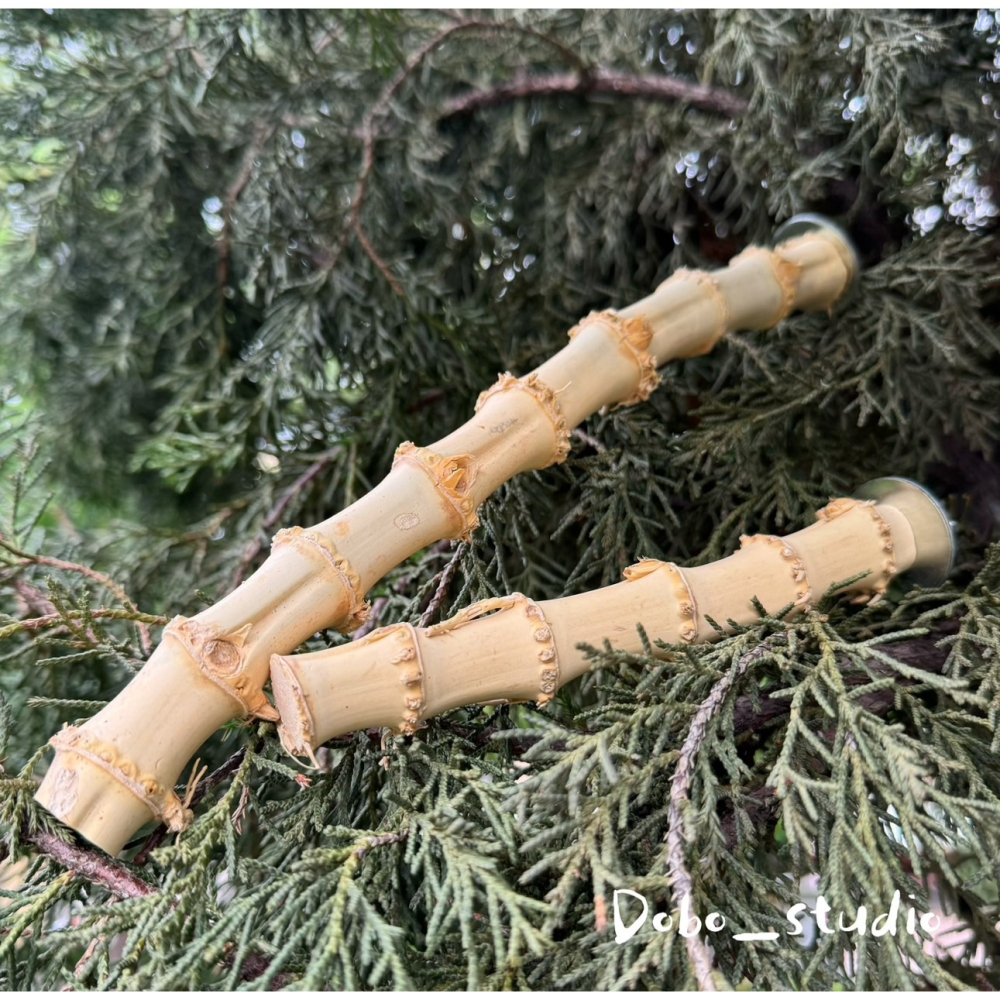鳥我一下好嗎🍀龍骨竹根站杆 適合中小型鸚鵡 棲木站棍 鳥站棍 竹製品 天然站桿 鸚鵡 鳥磨爪棒 小鸚 金太陽 凱克鸚鵡-細節圖4