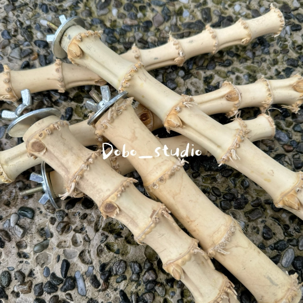 鳥我一下好嗎🍀龍骨竹根站杆 適合中小型鸚鵡 棲木站棍 鳥站棍 竹製品 天然站桿 鸚鵡 鳥磨爪棒 小鸚 金太陽 凱克鸚鵡-細節圖5