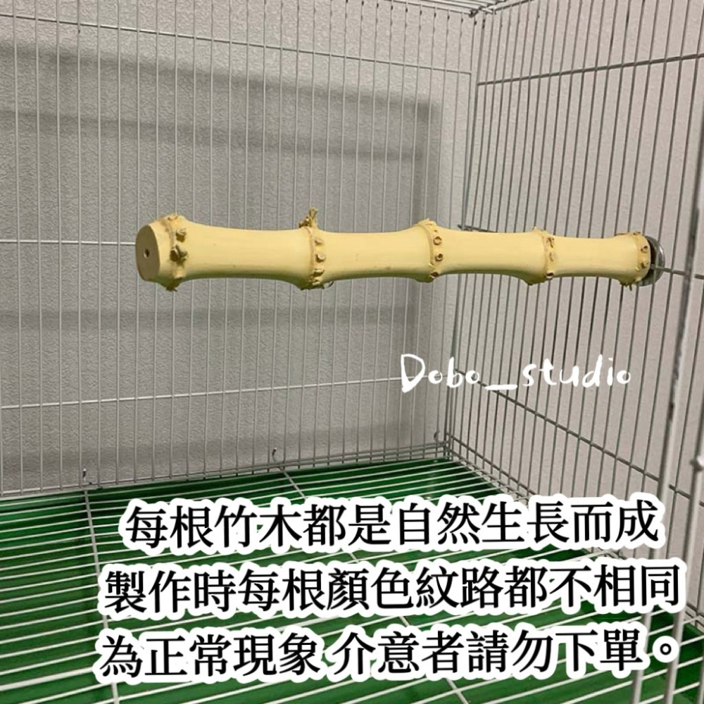鳥我一下好嗎🍀龍骨竹根站杆 適合中小型鸚鵡 棲木站棍 鳥站棍 竹製品 天然站桿 鸚鵡 鳥磨爪棒 小鸚 金太陽 凱克鸚鵡-細節圖7