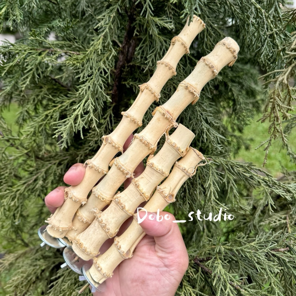 鳥我一下好嗎🍀龍骨竹根站杆 適合中小型鸚鵡 棲木站棍 鳥站棍 竹製品 天然站桿 鸚鵡 鳥磨爪棒 小鸚 金太陽 凱克鸚鵡-細節圖8