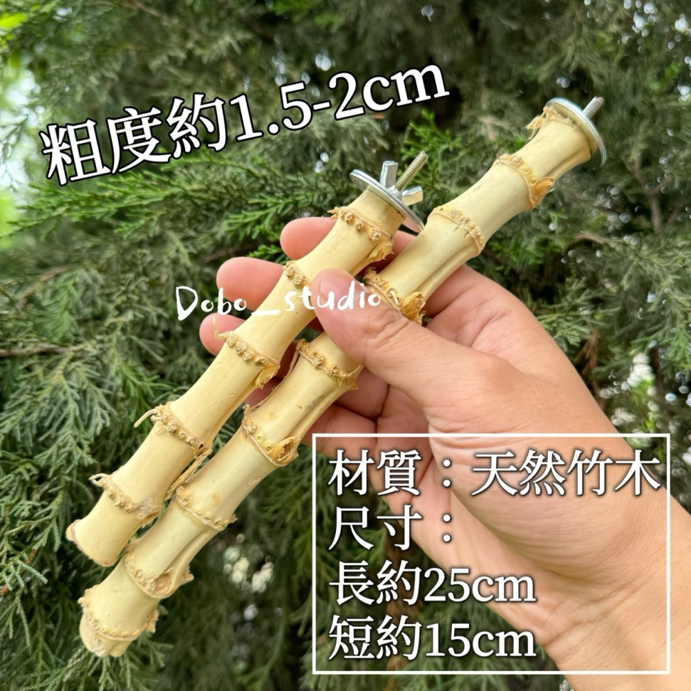 鳥我一下好嗎🍀龍骨竹根站杆 適合中小型鸚鵡 棲木站棍 鳥站棍 竹製品 天然站桿 鸚鵡 鳥磨爪棒 小鸚 金太陽 凱克鸚鵡-細節圖9