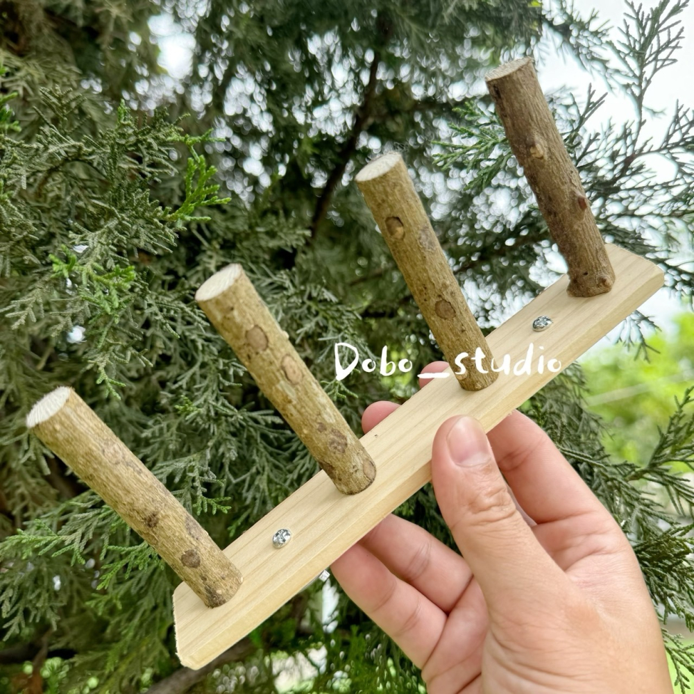 鳥我一下好嗎🍀鸚鵡磨爪攀爬梯 實木站棍站桿 中小型鳥 鸚鵡磨牙 磨砂棍 原木磨爪 鳥休息 攀爬梯 休息台雲梯 腳下玩具-細節圖4