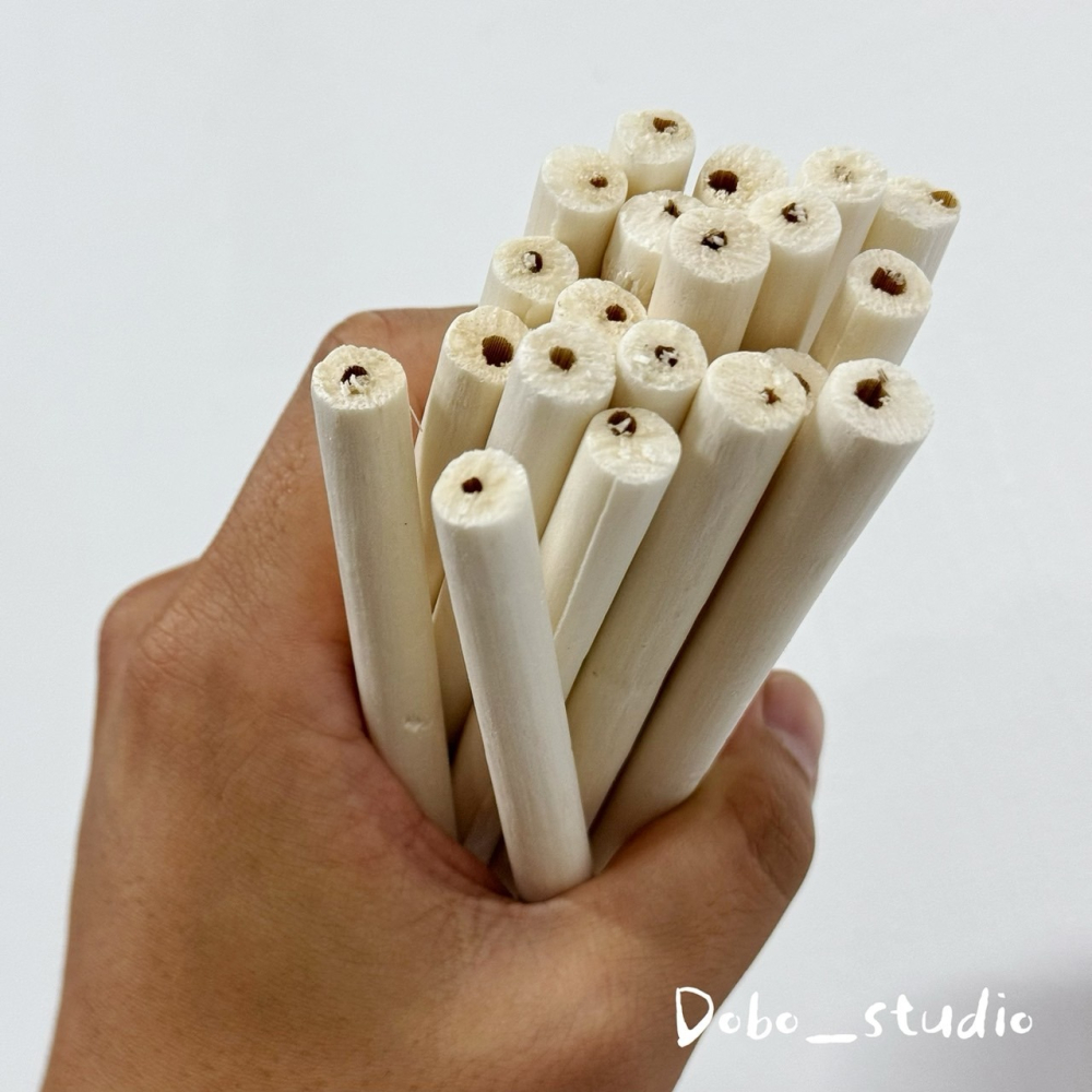 鳥我一下好嗎🍀鸚鵡通草磨牙棒 天然啃咬玩具 索拉啃咬棒 通草棒 鸚鵡索拉棒 玄鳳 凱克鸚鵡 和尚 磨牙玩具 磨牙棒-細節圖4