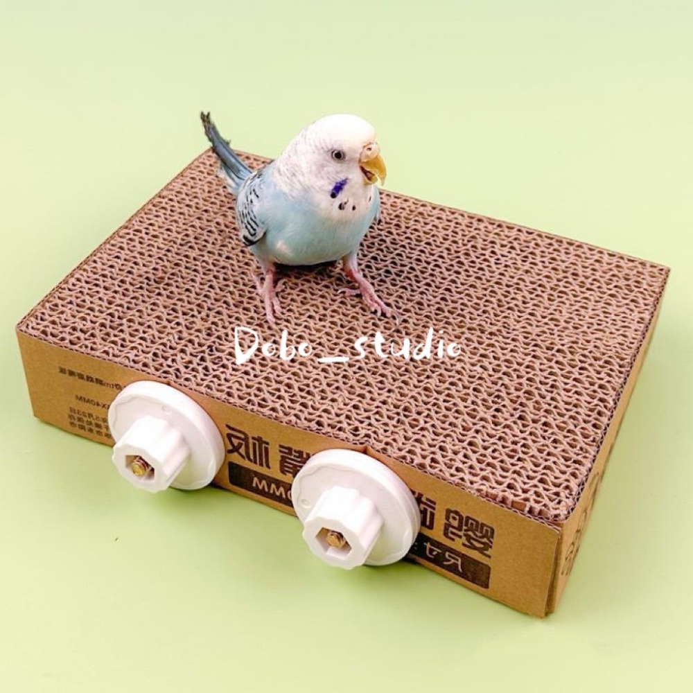 鳥我一下好嗎🍀鸚鵡紙板平台 鳥站板 發洩啃咬紙板 鸚鵡攀爬 鸚鵡休息站板 凱克鸚鵡 千層紙板 磨爪抓板 解悶玩耍 鸚鵡-細節圖2