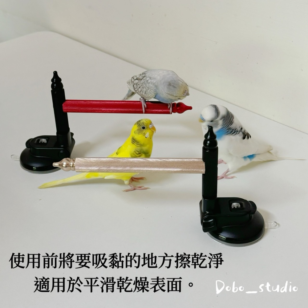 鳥我一下好嗎🍀不鏽鋼吸盤站架 中小型鳥站架 空中站架 車上鸚鵡站架 休息站杆 鸚鵡抓握 鸚鵡磨爪鸚鵡玩具 站棍 鳥站杆-細節圖7