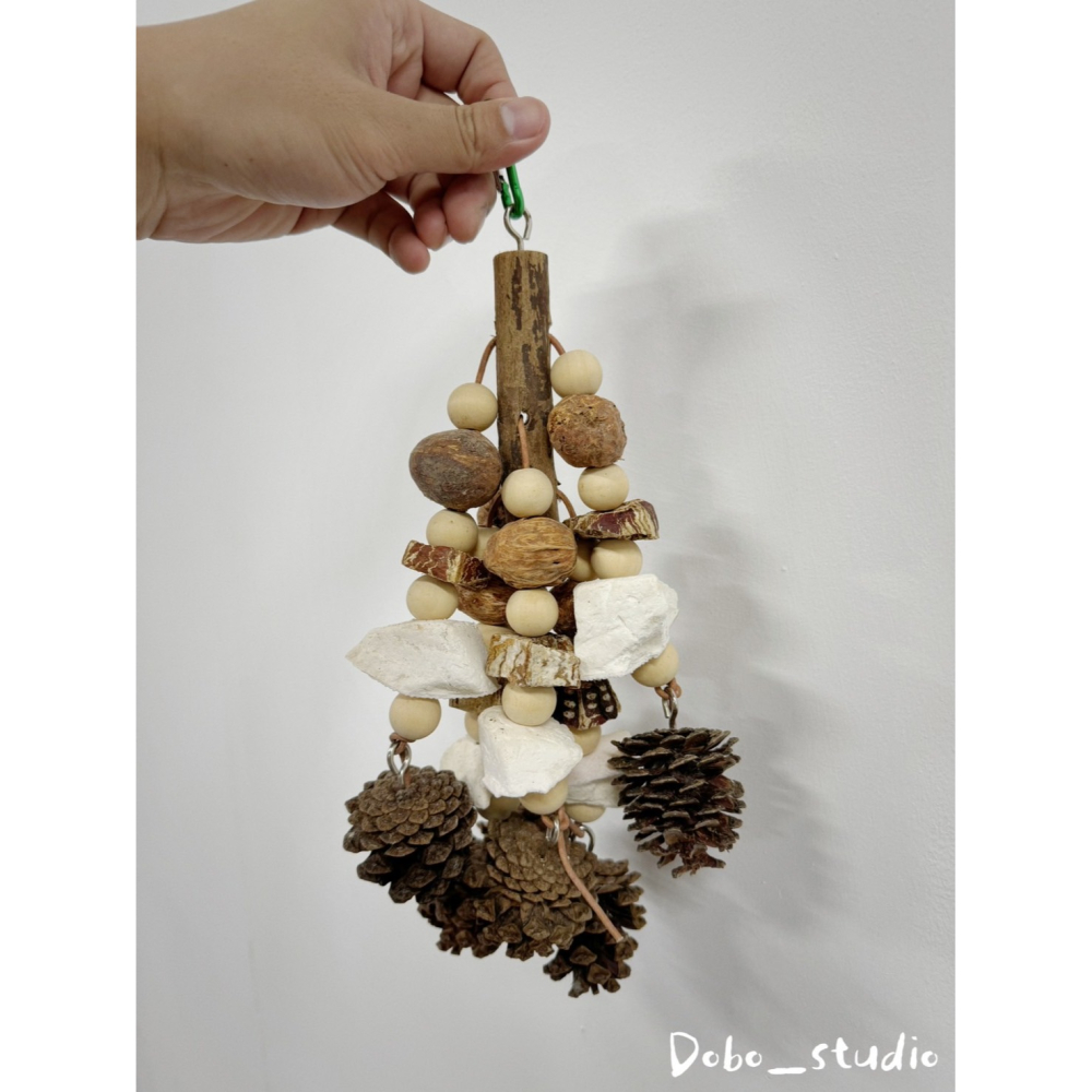 鳥我一下好嗎🍀墨魚骨果實啃咬串 天然松果球 大中小型鸚鵡 桃花心木 乾燥果實串 攀爬掛串 綜合果實串 磨牙磨爪 墨魚骨-細節圖2