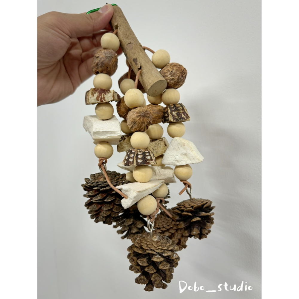 鳥我一下好嗎🍀墨魚骨果實啃咬串 天然松果球 大中小型鸚鵡 桃花心木 乾燥果實串 攀爬掛串 綜合果實串 磨牙磨爪 墨魚骨-細節圖3