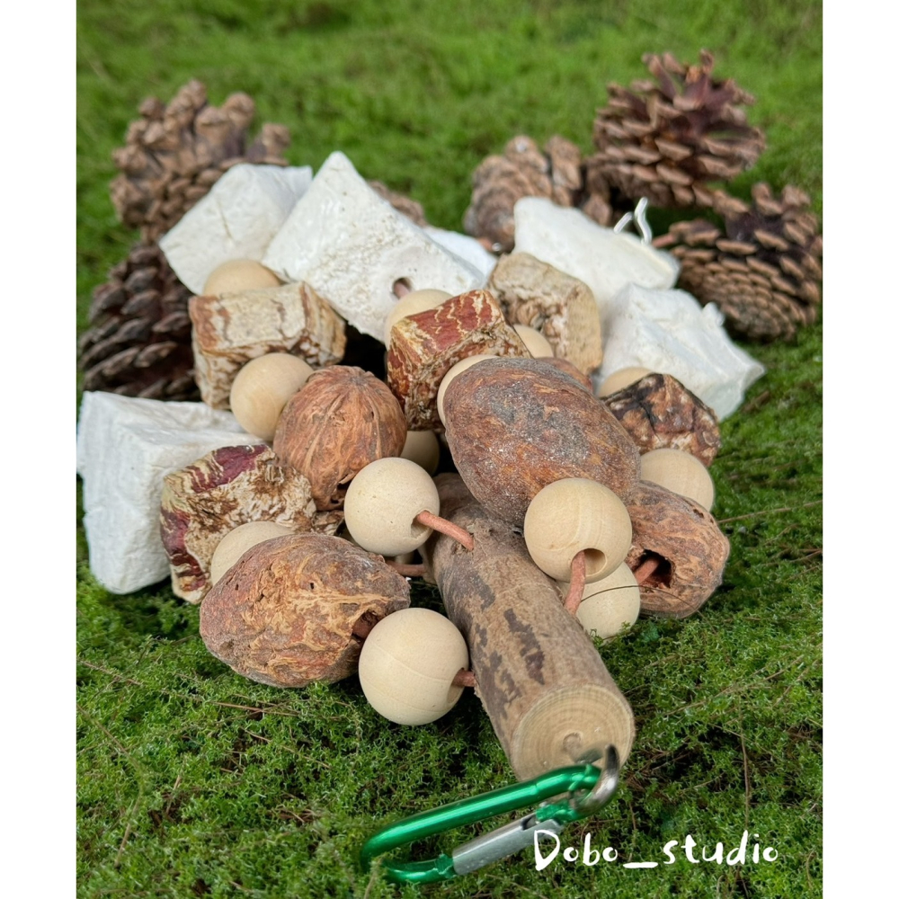 鳥我一下好嗎🍀墨魚骨果實啃咬串 天然松果球 大中小型鸚鵡 桃花心木 乾燥果實串 攀爬掛串 綜合果實串 磨牙磨爪 墨魚骨-細節圖5