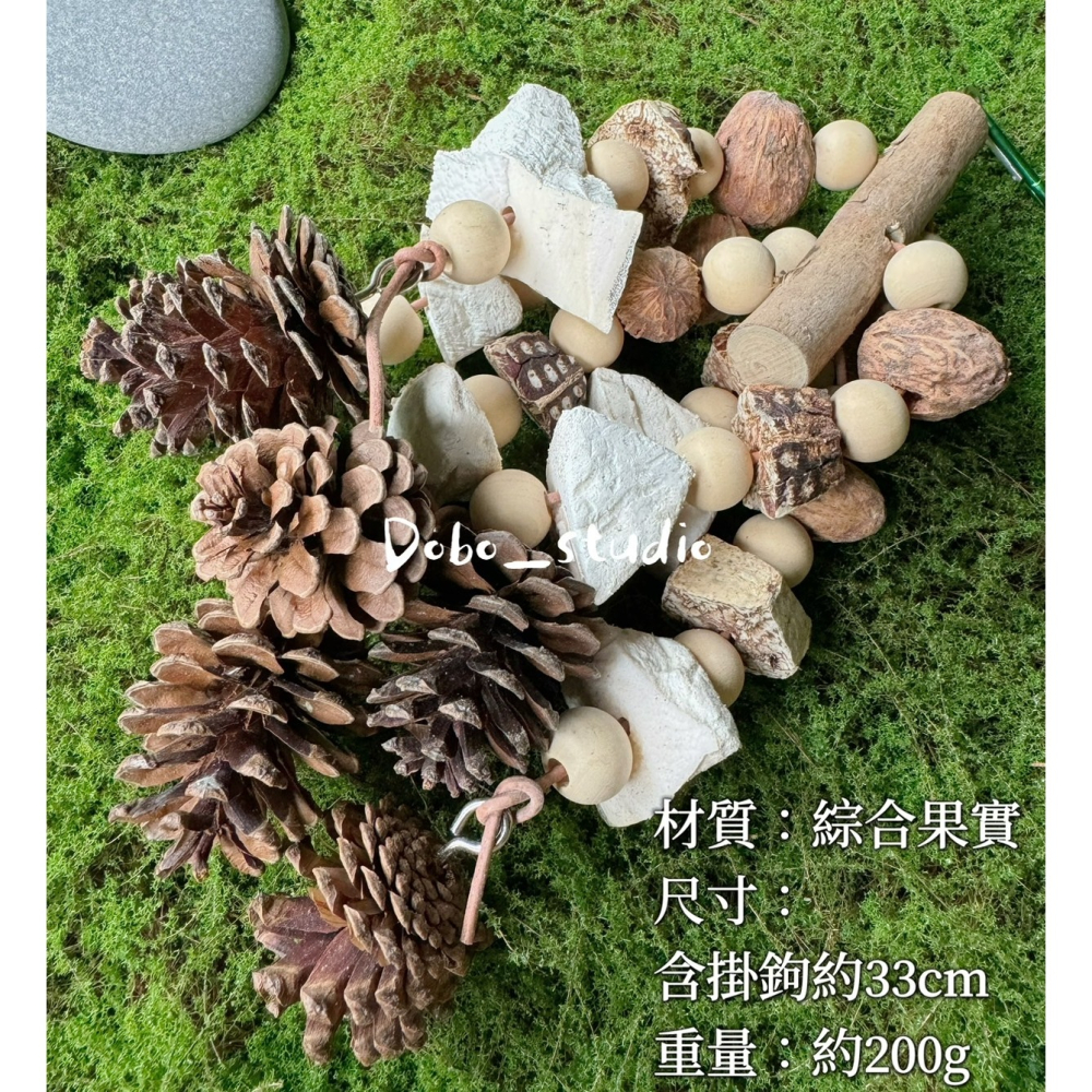 鳥我一下好嗎🍀墨魚骨果實啃咬串 天然松果球 大中小型鸚鵡 桃花心木 乾燥果實串 攀爬掛串 綜合果實串 磨牙磨爪 墨魚骨-細節圖6