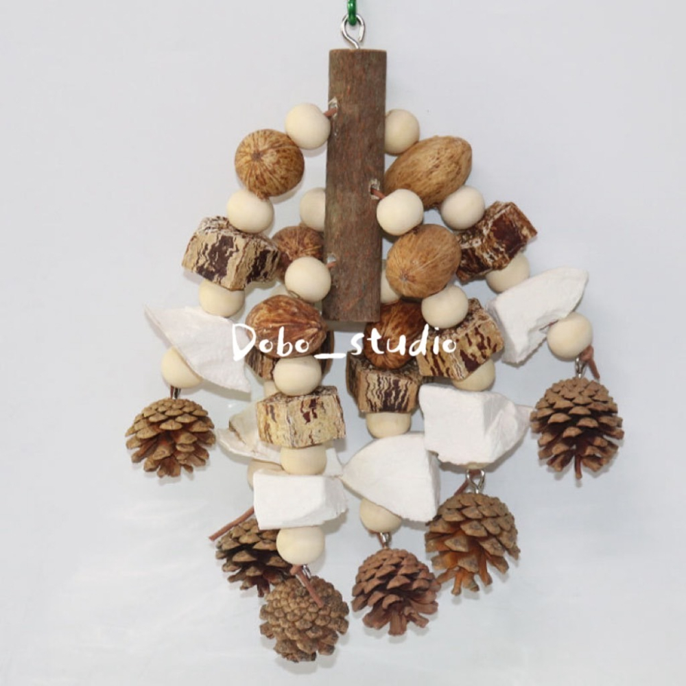 鳥我一下好嗎🍀墨魚骨果實啃咬串 天然松果球 大中小型鸚鵡 桃花心木 乾燥果實串 攀爬掛串 綜合果實串 磨牙磨爪 墨魚骨-細節圖7