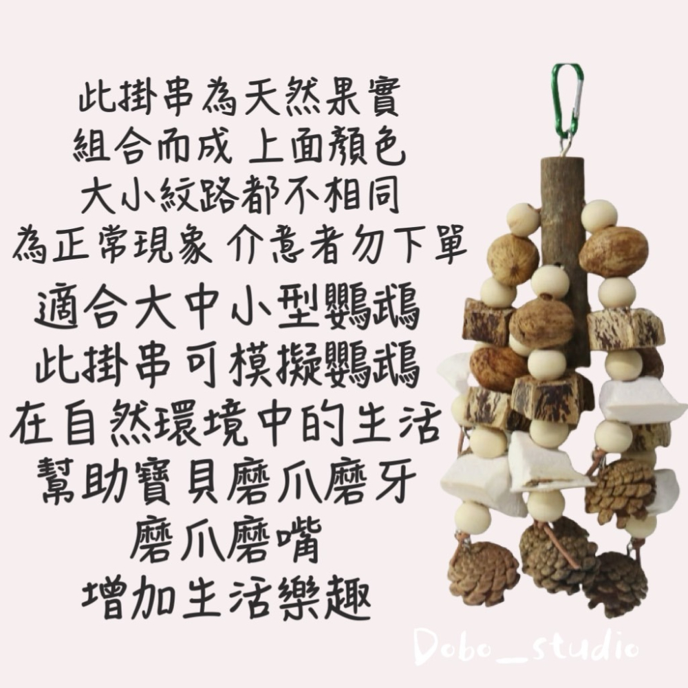 鳥我一下好嗎🍀墨魚骨果實啃咬串 天然松果球 大中小型鸚鵡 桃花心木 乾燥果實串 攀爬掛串 綜合果實串 磨牙磨爪 墨魚骨-細節圖9