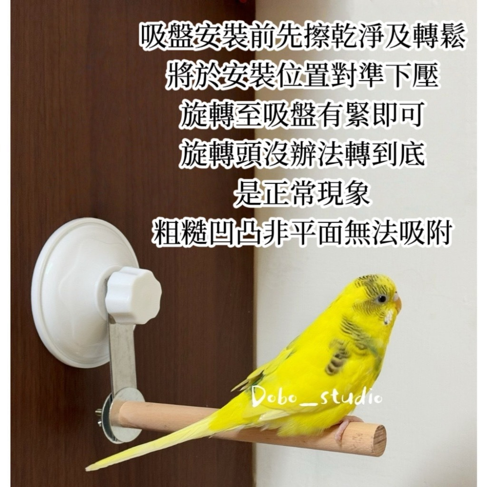 鳥我一下好嗎🍀鸚鵡吸盤原木站棒 空中站棍 鸚鵡站架 攀爬站棍 樹枝站桿 鳥站棍 鳥站臺 吸盤站架 鸚鵡用品 實木鸚鵡站-細節圖9