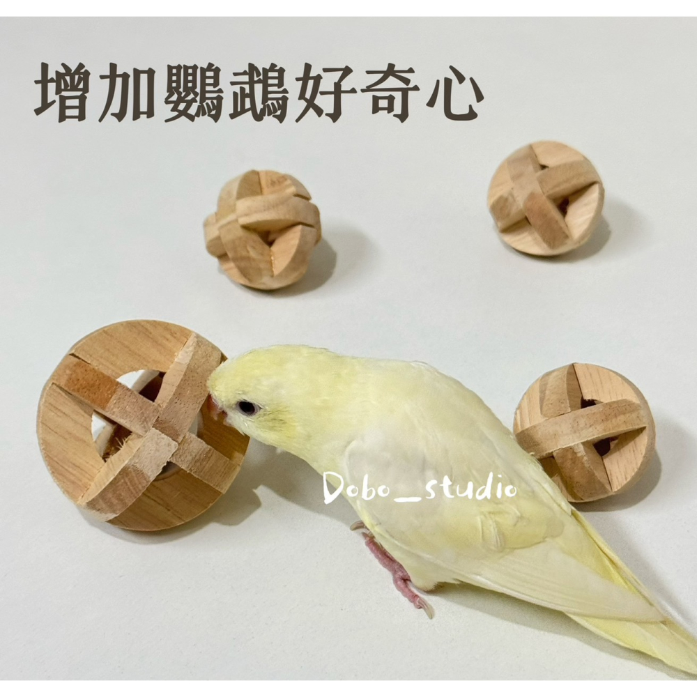 鳥我一下好嗎🍀 鸚鵡木製咬球 鳥啃咬發泄球 中小型鸚鵡 鸚鵡腳下抓握 鸚鵡玩具球 磨嘴 蜜袋鼯 虎皮鸚鵡 凱克 和尚-細節圖4