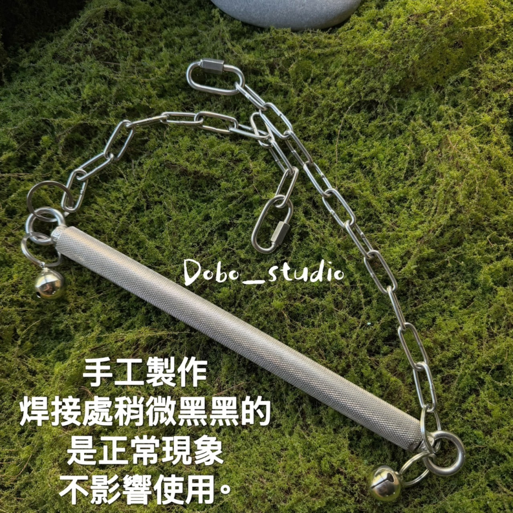 鳥我一下好嗎🍀不鏽鋼鸚鵡鞦韆 大中型鸚鵡 白鐵站棍鞦韆 鸚鵡鞦韆 不銹鋼鞦韆 鈴鐺鞦韆 鳥站棍 和尚鸚鵡 月輪 小太陽-細節圖6
