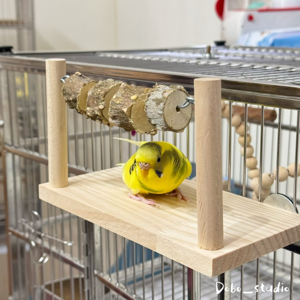 鳥我一下好嗎🍀花椒木跳檯 啃咬花椒木 實木站台 攀爬站檯 鳥站架 花椒木站台 遊戲台 休息平檯 倉鼠 三線鼠跳台 鼠玩-細節圖6