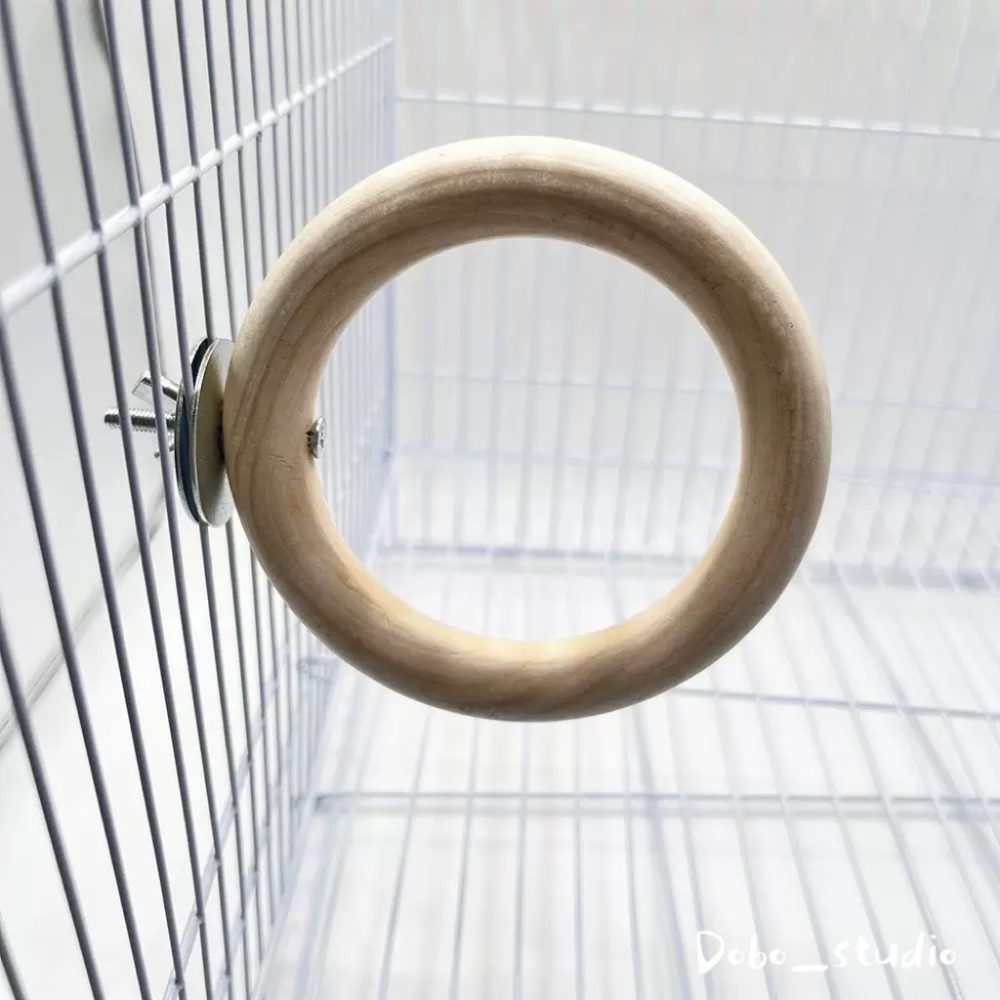 鳥我一下好嗎🍀原木圓形站環 原木站架 虎皮站架 啃咬磨牙 鳥木頭站架 中小型鳥站架 雀鳥 文鳥 牡丹鸚鵡 小太陽 玄鳳-細節圖4