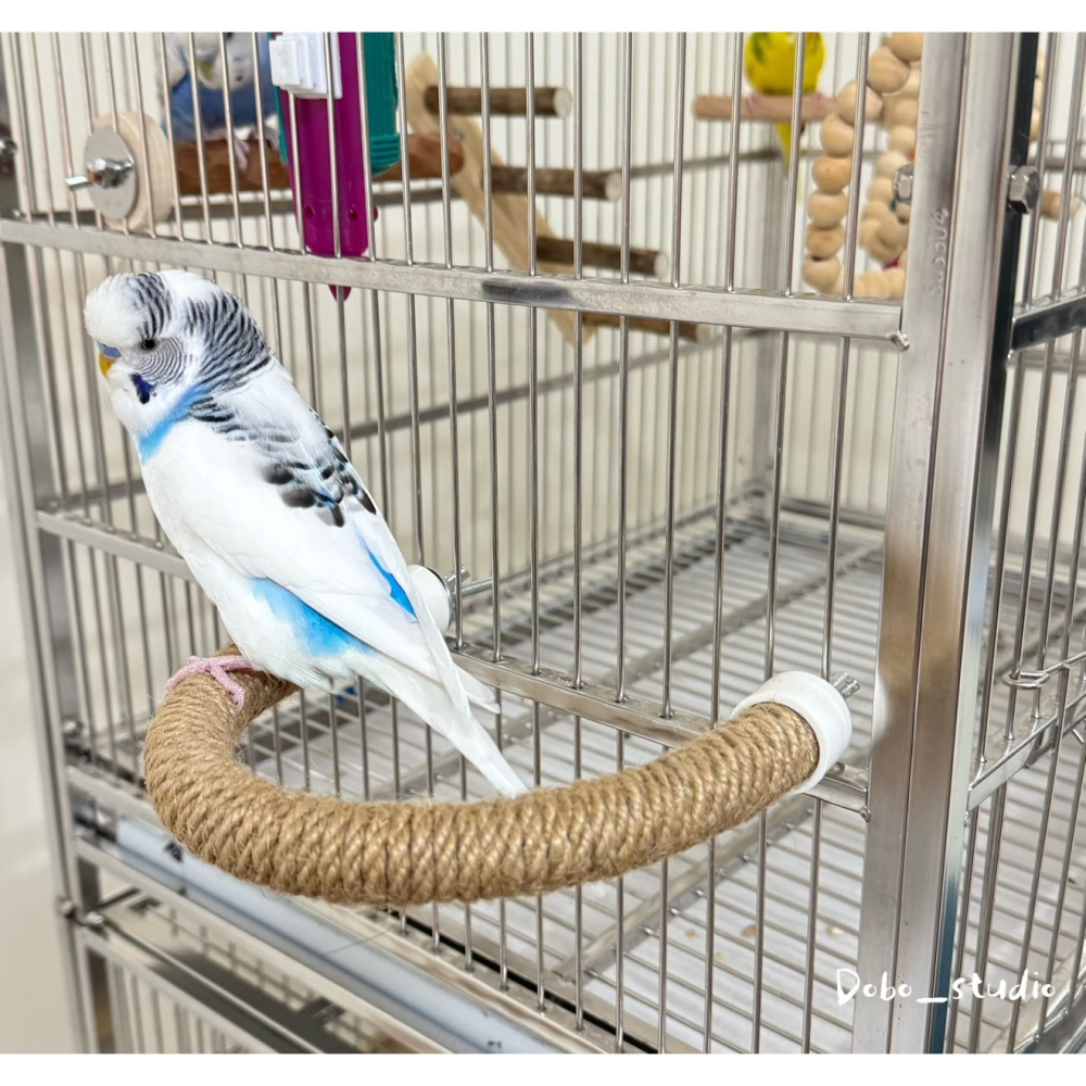 鳥我一下好嗎🍀麻繩U型站桿 劍麻休息站杆 中小型鳥專用 休息棲木架 造景裝飾 鳥用品 鸚鵡遊戲架 凱克鸚鵡 耐啃咬站棍-細節圖3