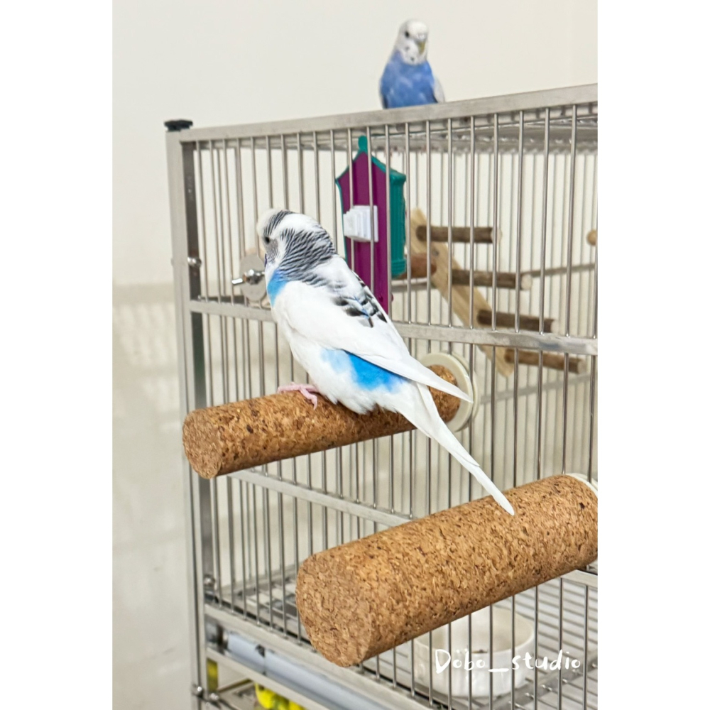 鳥我一下好嗎🍀鸚鵡軟木站桿 鸚鵡站桿 中大型鸚鵡站桿 發洩 寵物鳥站桿 灰鸚鵡 玄鳳鸚鵡 軟木棲息桿 木頭站桿 防滑站-細節圖6