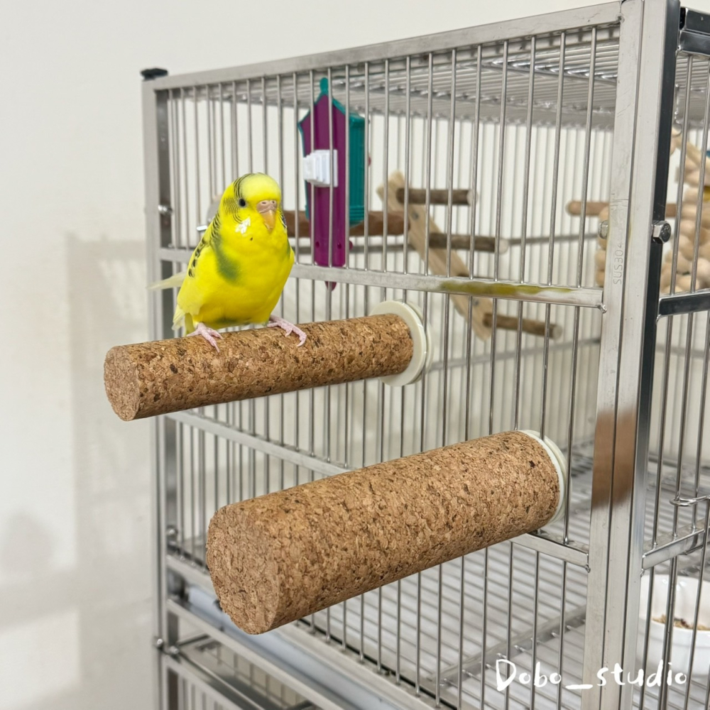 鳥我一下好嗎🍀鸚鵡軟木站桿 鸚鵡站桿 中大型鸚鵡站桿 發洩 寵物鳥站桿 灰鸚鵡 玄鳳鸚鵡 軟木棲息桿 木頭站桿 防滑站-細節圖7