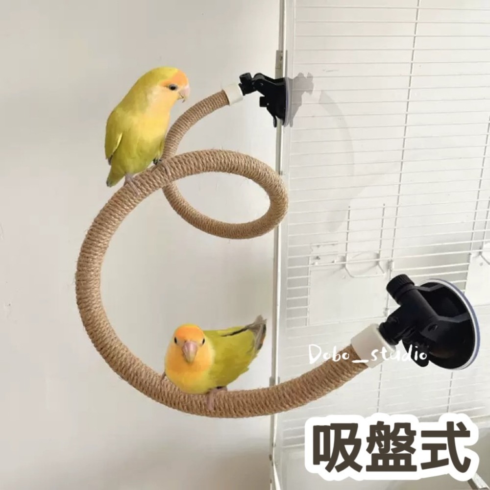 鳥我一下好嗎🍀吸盤麻繩攀爬架 麻繩攀爬架 可自由調整 鳥窩佈置 黃麻繩 攀爬繩 虎皮牡丹 麻繩 爬蟲 玄鳳 麻繩磨爪棒-細節圖5