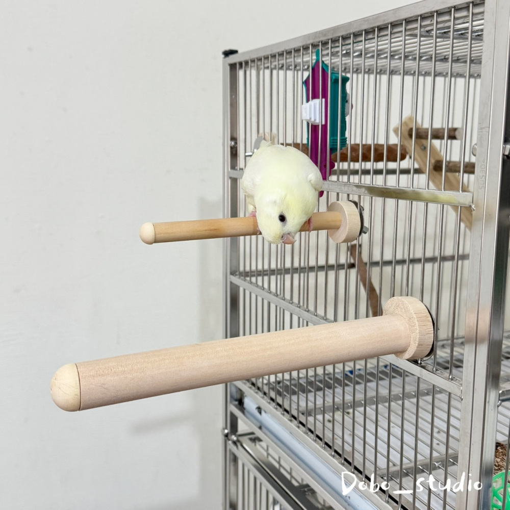 鳥我一下好嗎🍀基礎款木站棍 鸚鵡磨爪站棍 15cm 木站桿 單鎖 鳥棲木 攀爬棍 原木棍 木製站棍 虎皮鸚鵡 太平洋鸚-細節圖2