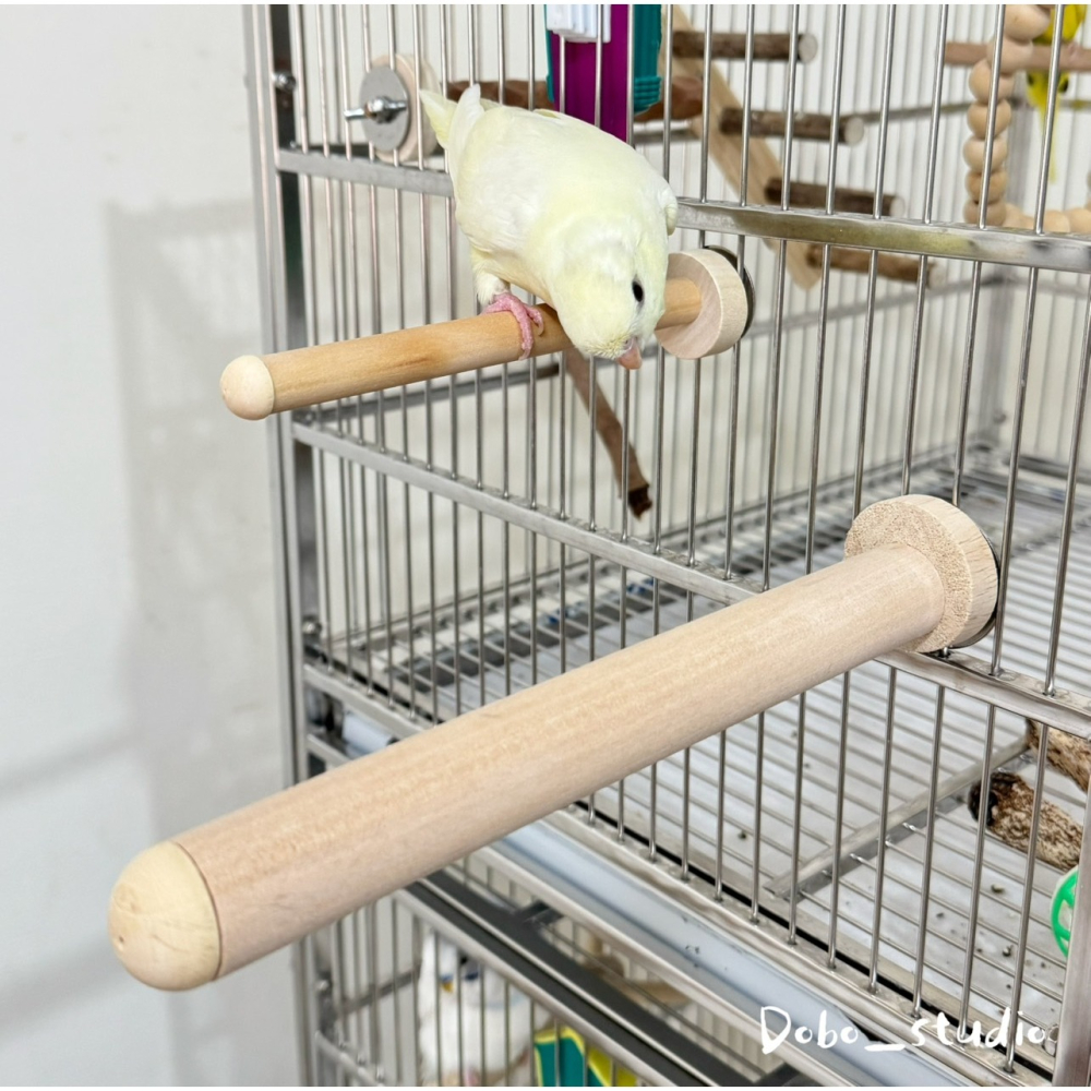 鳥我一下好嗎🍀基礎款木站棍 鸚鵡磨爪站棍 15cm 木站桿 單鎖 鳥棲木 攀爬棍 原木棍 木製站棍 虎皮鸚鵡 太平洋鸚-細節圖5
