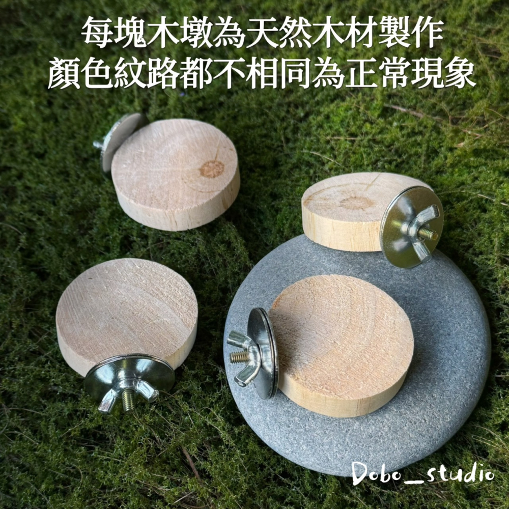 鳥我一下好嗎🍀木墩小跳台 圓形小跳板 跳台 跳板 虎皮鸚鵡 小跳台 倉鼠樓梯 倉鼠造景玩具 木踏板 原木站台 倉鼠玩具-細節圖2